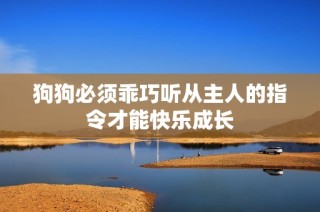 狗狗必须乖巧听从主人的指令才能快乐成长