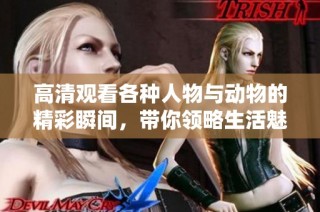 高清观看各种人物与动物的精彩瞬间，带你领略生活魅力