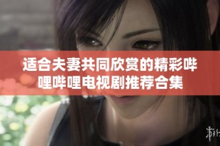适合夫妻共同欣赏的精彩哔哩哔哩电视剧推荐合集
