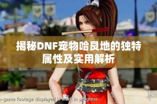 揭秘DNF宠物哈艮地的独特属性及实用解析