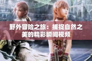 野外冒险之旅：捕捉自然之美的精彩瞬间视频
