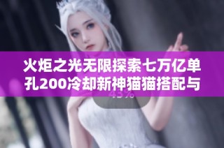 火炬之光无限探索七万亿单孔200冷却新神猫猫搭配与猫2解析