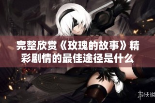 完整欣赏《玫瑰的故事》精彩剧情的最佳途径是什么
