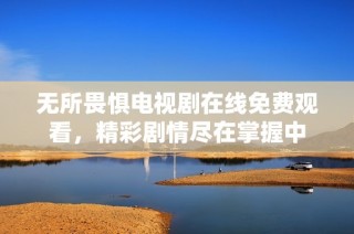 无所畏惧电视剧在线免费观看，精彩剧情尽在掌握中