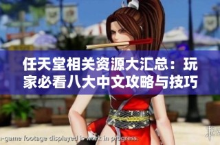 任天堂相关资源大汇总：玩家必看八大中文攻略与技巧分享