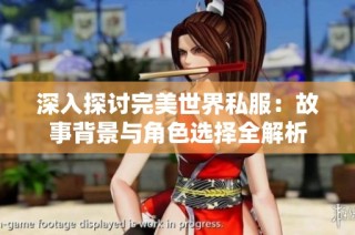 深入探讨完美世界私服：故事背景与角色选择全解析