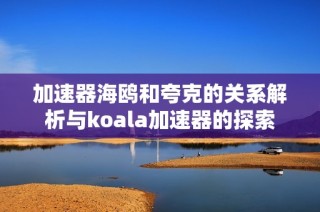 加速器海鸥和夸克的关系解析与koala加速器的探索