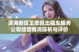 滨海新区王忠凯出租车服务公司经营情况探析与评价