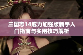 三国志14威力加强版新手入门指南与实用技巧解析
