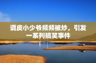 调皮小少爷频频被炒，引发一系列搞笑事件