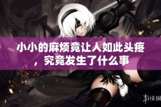 小小的麻烦竟让人如此头疼，究竟发生了什么事