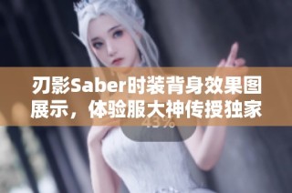 刃影Saber时装背身效果图展示，体验服大神传授独家解析