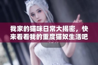 我家的猫咪日常大揭密，快来看看我的重度猫奴生活吧