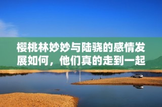 樱桃林妙妙与陆骁的感情发展如何，他们真的走到一起了吗