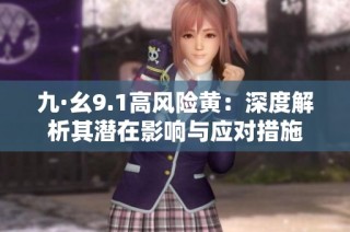 九·幺9.1高风险黄：深度解析其潜在影响与应对措施