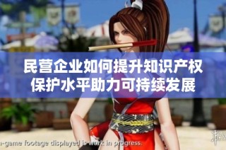 民营企业如何提升知识产权保护水平助力可持续发展