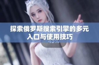探索俄罗斯搜索引擎的多元入口与使用技巧