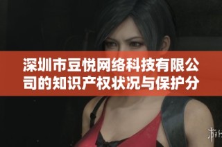 深圳市豆悦网络科技有限公司的知识产权状况与保护分析