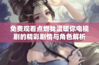 免费观看点燃我温暖你电视剧的精彩剧情与角色解析