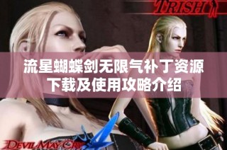 流星蝴蝶剑无限气补丁资源下载及使用攻略介绍