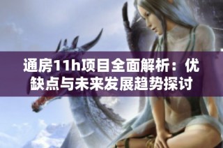通房11h项目全面解析：优缺点与未来发展趋势探讨