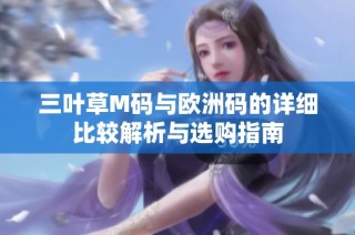 三叶草M码与欧洲码的详细比较解析与选购指南