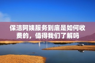 保洁阿姨服务到底是如何收费的，值得我们了解吗