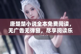 唐楚楚小说全本免费阅读，无广告无弹窗，尽享阅读乐趣