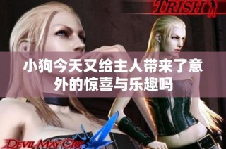小狗今天又给主人带来了意外的惊喜与乐趣吗