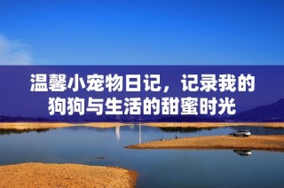 温馨小宠物日记，记录我的狗狗与生活的甜蜜时光