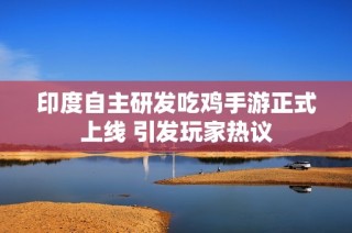 印度自主研发吃鸡手游正式上线 引发玩家热议