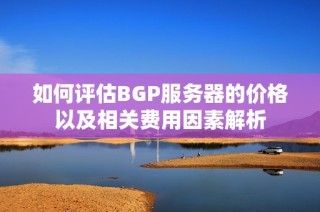 如何评估BGP服务器的价格以及相关费用因素解析