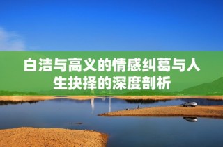 白洁与高义的情感纠葛与人生抉择的深度剖析