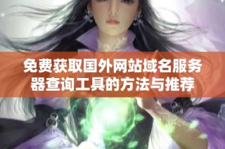 免费获取国外网站域名服务器查询工具的方法与推荐