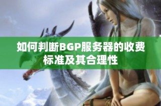 如何判断BGP服务器的收费标准及其合理性