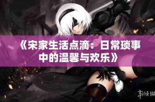 《宋家生活点滴：日常琐事中的温馨与欢乐》