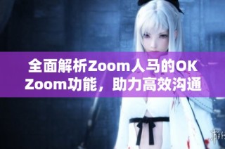 全面解析Zoom人马的OKZoom功能，助力高效沟通与协作
