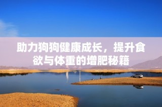 助力狗狗健康成长，提升食欲与体重的增肥秘籍