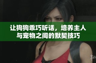 让狗狗乖巧听话，培养主人与宠物之间的默契技巧