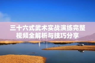 三十六式武术实战演练完整视频全解析与技巧分享