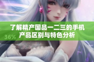 了解精产国品一二三的手机产品区别与特色分析