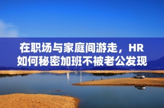 在职场与家庭间游走，HR如何秘密加班不被老公发现