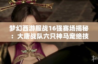 梦幻西游服战16强赛场揭秘：大唐战队六只神马宠绝技大比拼