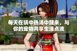 每天在锅中热汤中醒来，与你的宠物共享生活点滴