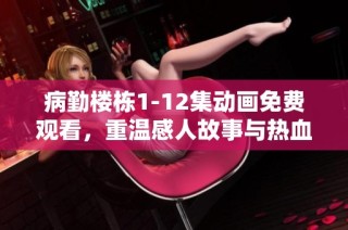 病勤楼栋1-12集动画免费观看，重温感人故事与热血时刻