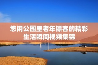 悠闲公园里老年镖客的精彩生活瞬间视频集锦