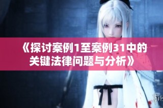 《探讨案例1至案例31中的关键法律问题与分析》