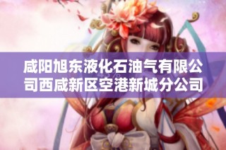 咸阳旭东液化石油气有限公司西咸新区空港新城分公司概况及服务分析