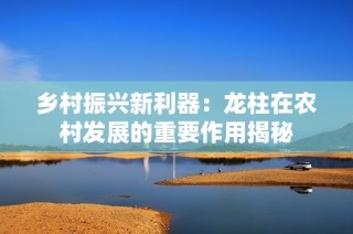 乡村振兴新利器：龙柱在农村发展的重要作用揭秘