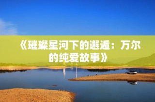 《璀璨星河下的邂逅：万尔的纯爱故事》